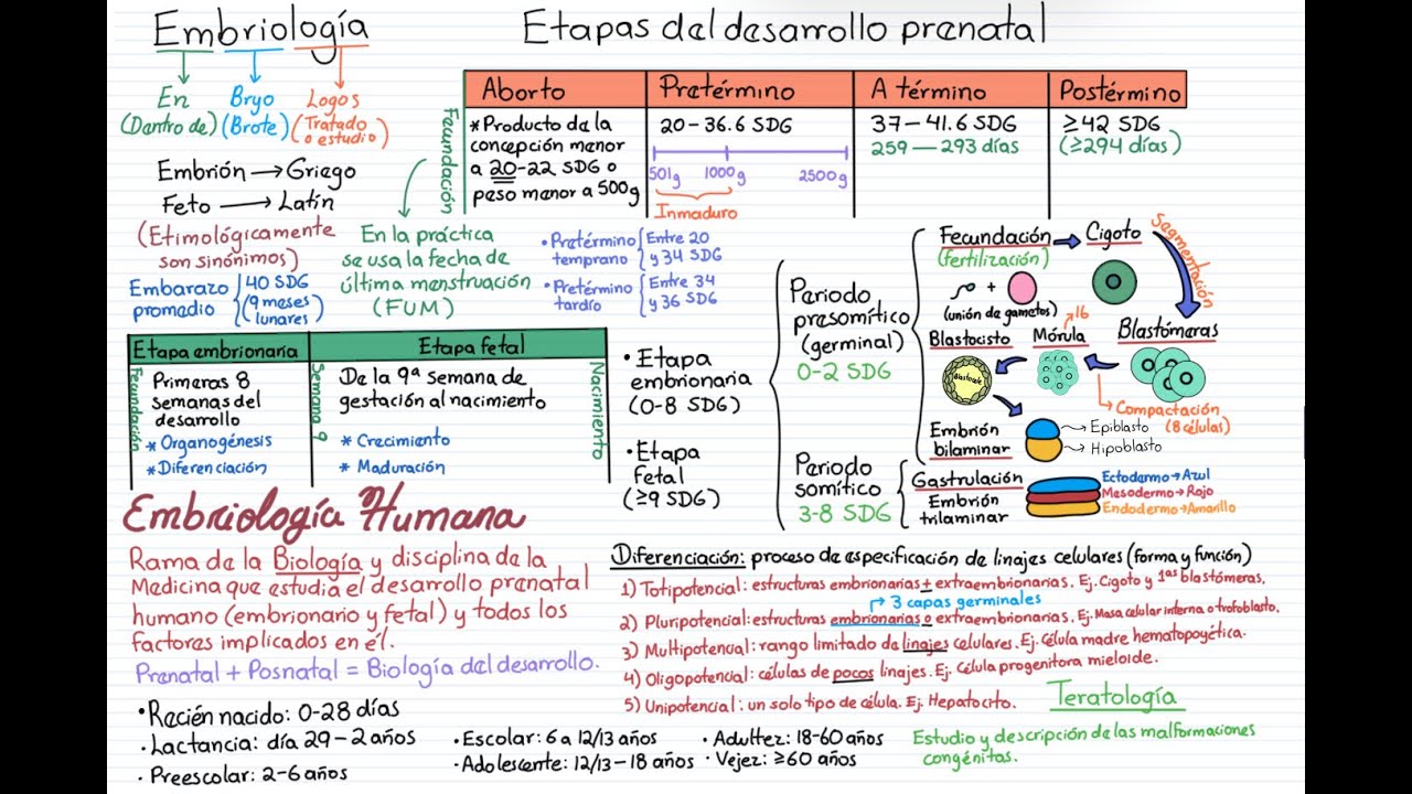 Embriolog&iacute;a. Curso completo. Tema 1: Generalidades