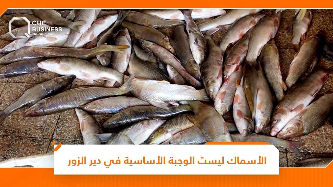 رغم أن المدينة تقع على نهر الفرات.. الأسماك ليست الوجبة الأساسية في دير الزور