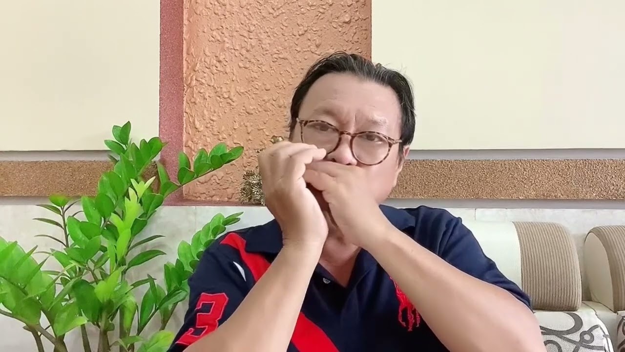 HISTOIRE D'UN AMOUR / LỊCH SỬ MỘT CHUYỆN TÌNH (Carlos Eleta Almaran) - Harmonica cover.