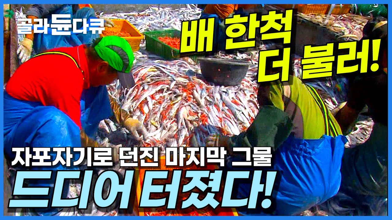 수확 없는 출항 10일째, 이번에는 꼭 잡아야한다...│갈치 어선 어부들의 입항 전 마지막 그물질│배 한대 더 불러! 만선이다!│뱃사람들의 바다에서 살아남기│극한직업│#골라듄다큐