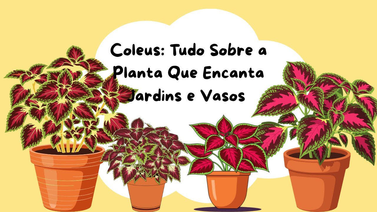 Coleus: Tudo Sobre a Planta Que Encanta Jardins e Vasos