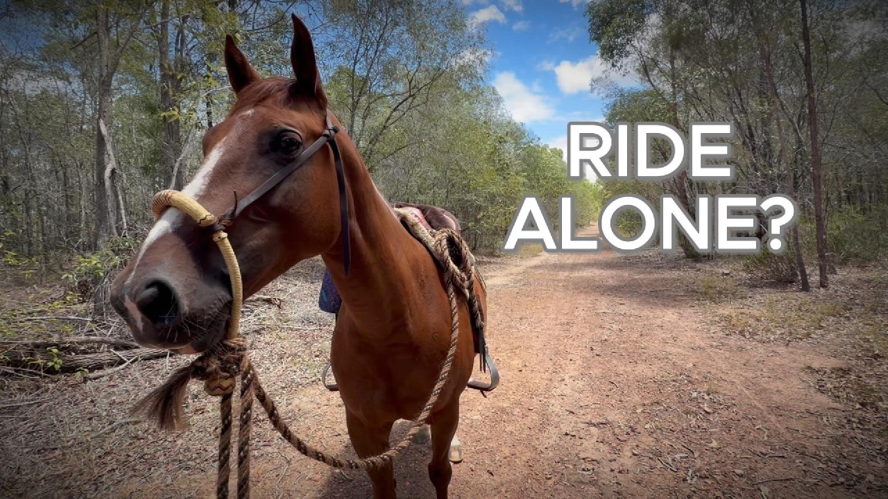 I Finally Rode Alone on Feather