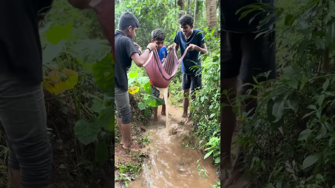 ದಯವಿಟ್ಟು ಊಟ ಮಾಡುವ ಸಮಯದಲ್ಲಿ ಈ ವಿಡಿಯೋ ನೋಡಬೇಡಿ 😂