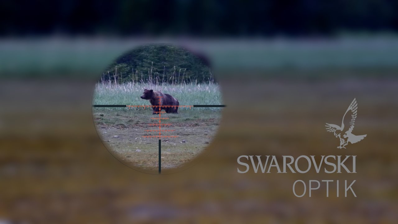 Прицел Swarovski X5i &mdash; видеообзор