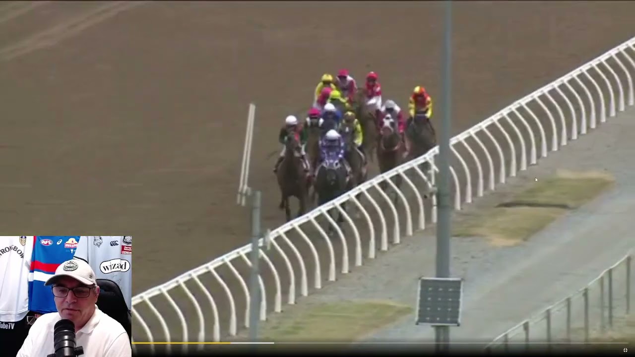 Devonport Cup Day - couple of selections