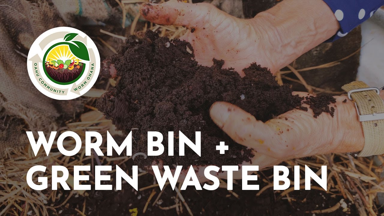 Worm Bin + Green Waste Bin - Oʻahu Community Worm Ohana