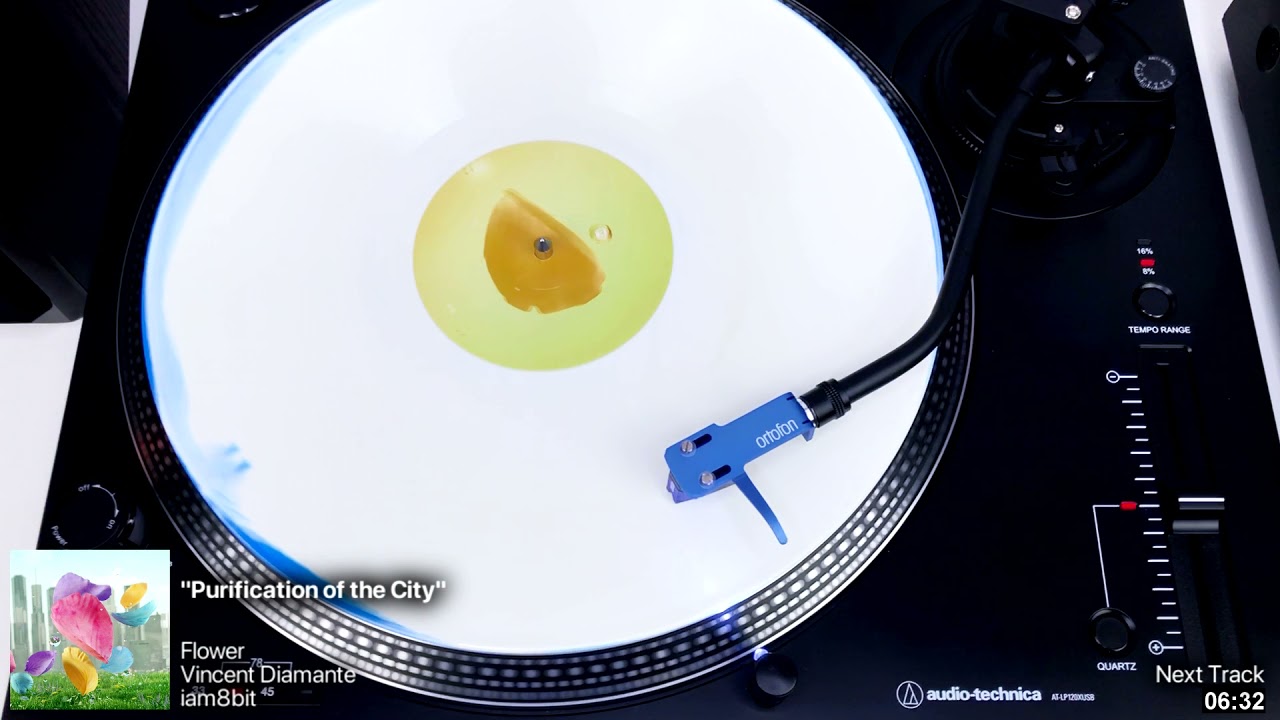 Flower: Side D | Vinyl Rip (iam8bit)