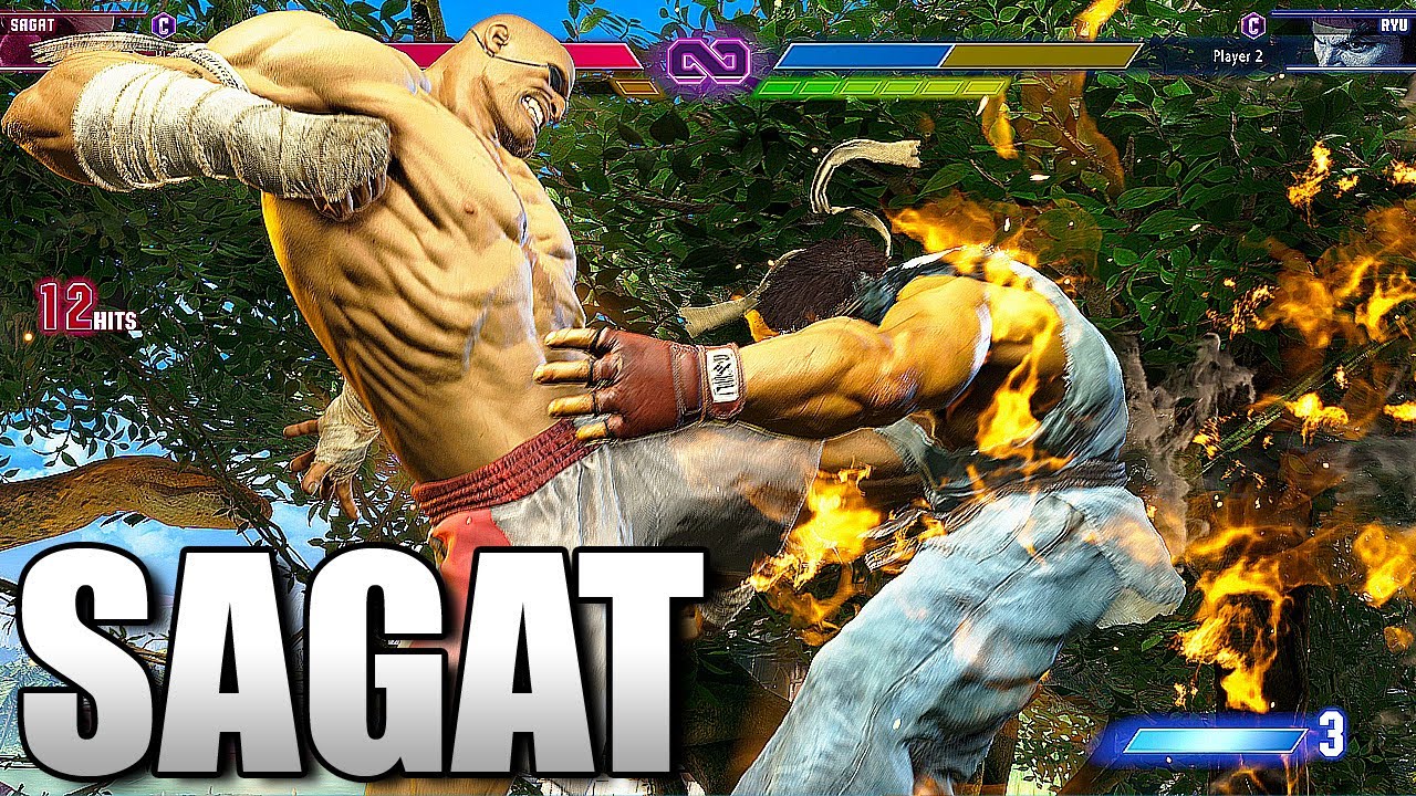 Sagat Combos + Hype!