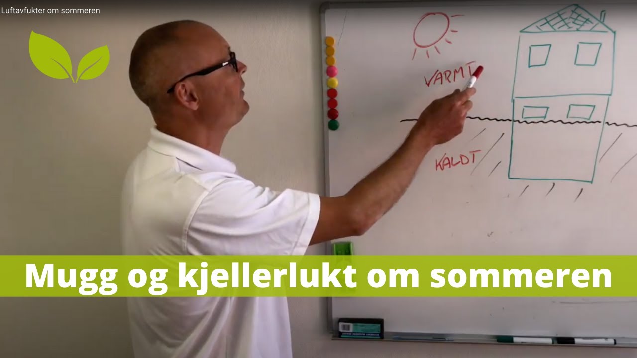Luftavfukter om sommeren. Mugg. Kjellerlukt. Dårlig inneklima.
