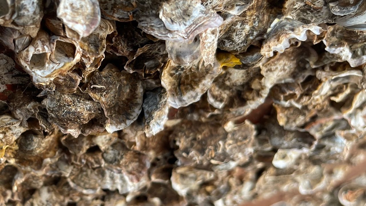 ASMR Boat Clean – Satisfying Barnacle Removal | No Talking (329)
