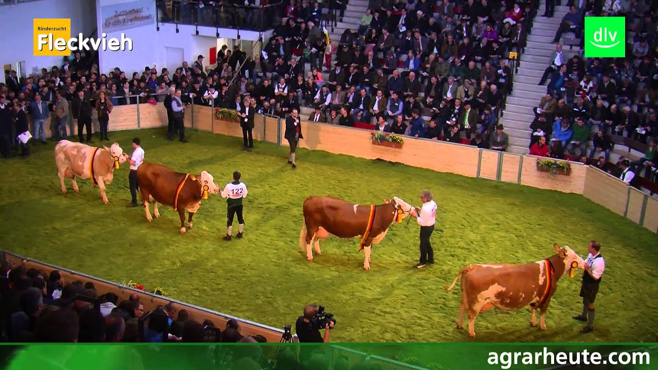Bundesfleckviehschau_2014