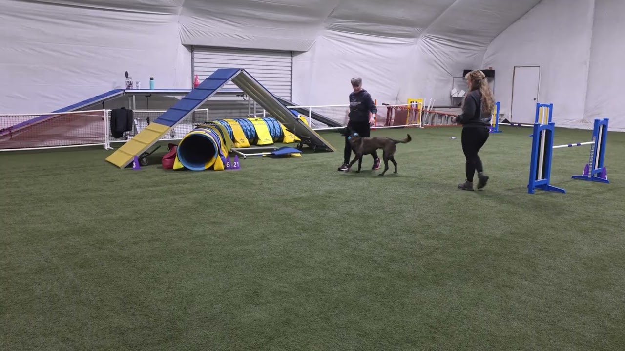Sekas agility journey part 4 March 8 2026