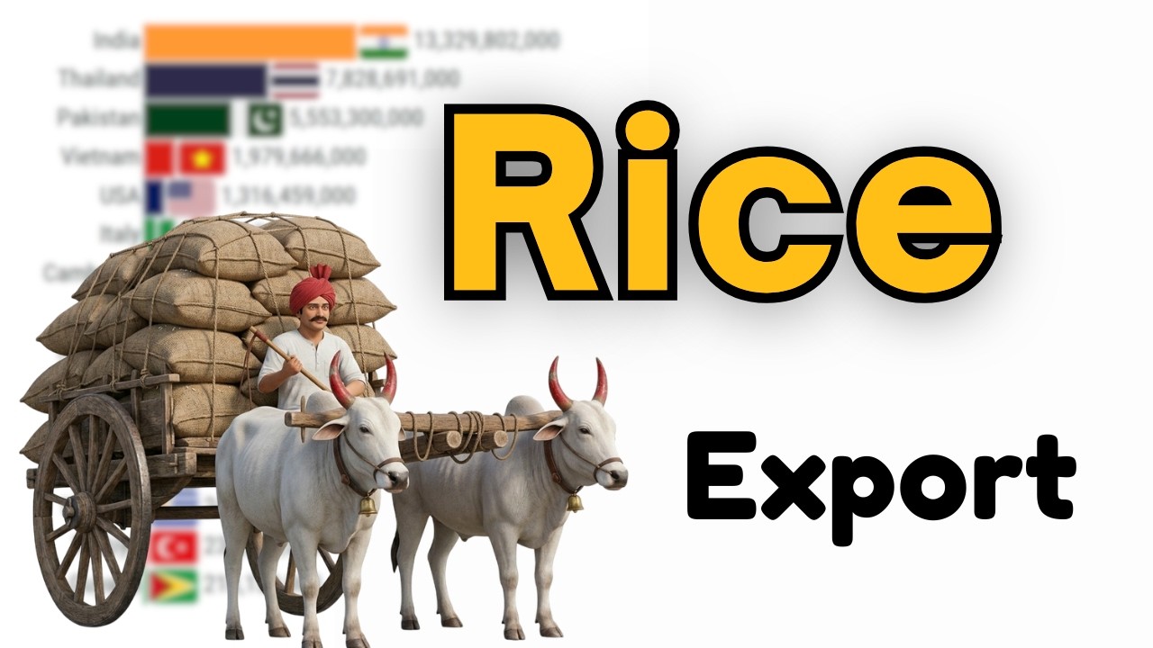 Top 15 Rice Exporting Nations by Annual Trade Value 1961 to 2026
