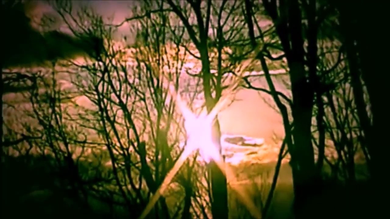 ROLAND JONES - INSANE