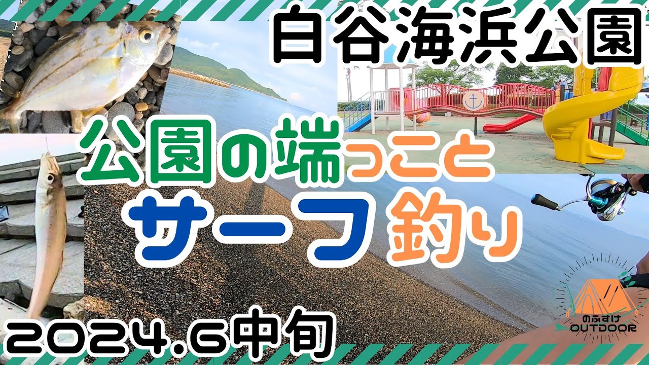 2024.6中旬キス釣り　また白谷海浜公園内で釣りしました！キス針６号・７号でチャレンジ！今回はサーフでもやってみました。