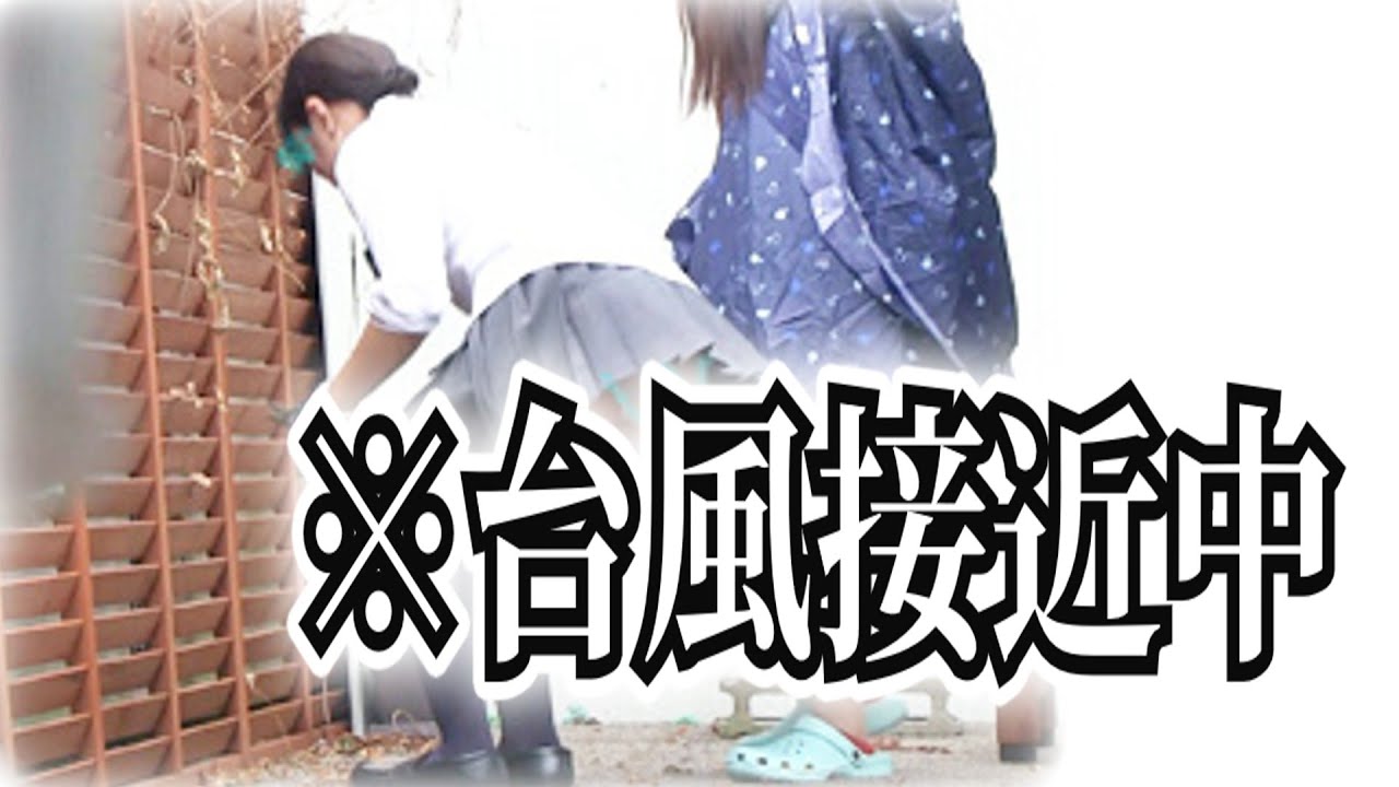 【神回】【2chボケて】可愛い殿堂入り爆笑ボケてがツッコミ満載すぎた【ゆっくり解説】NO1446