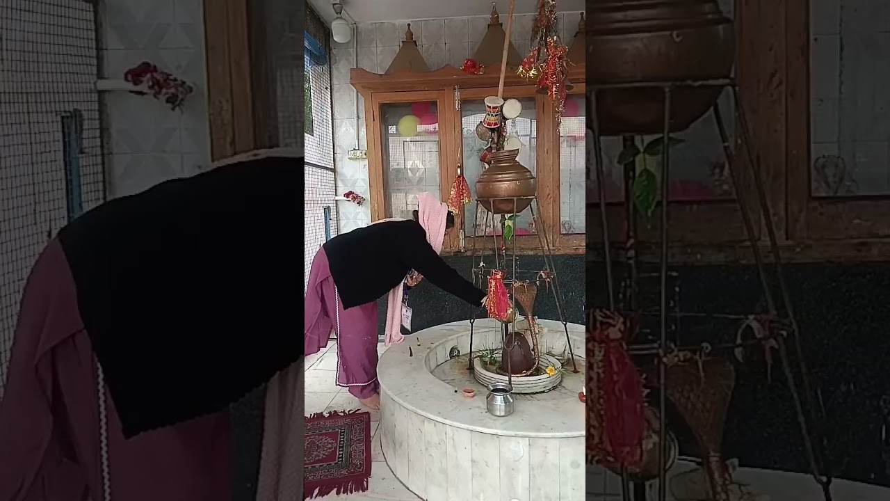 जय माता दी जो भी व्यक्ति कमेंट में लिखेगा उसकी मनोकामना पूर्ण कर देना 🙏🙏🙏