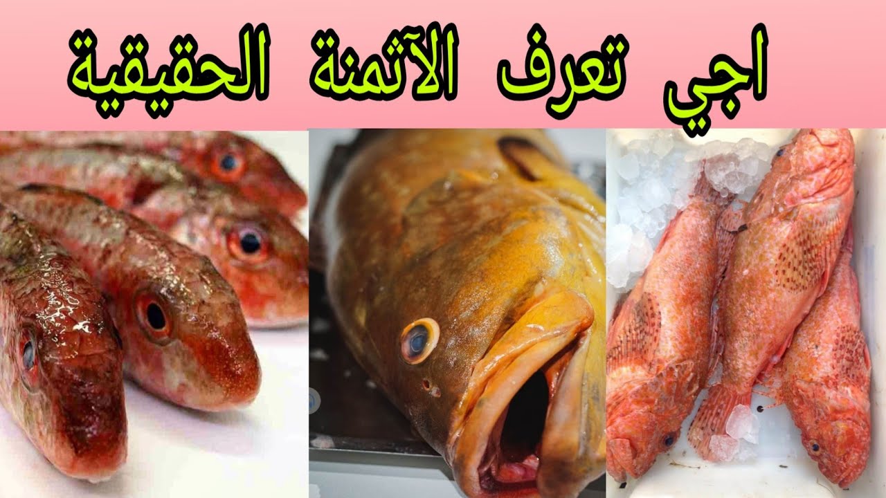 مفيد جدا!!احسن فيديو غادي تعلم منه تشري الأسماك!! الأسماء والأثمنة ديال كل نوع !+ طريقة الطهي