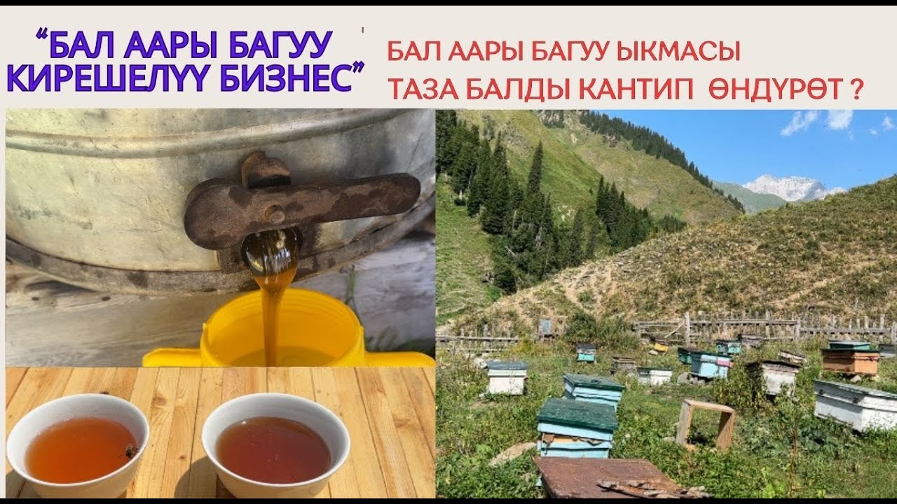 “Бал аары багуу кирешелүү бизнес”