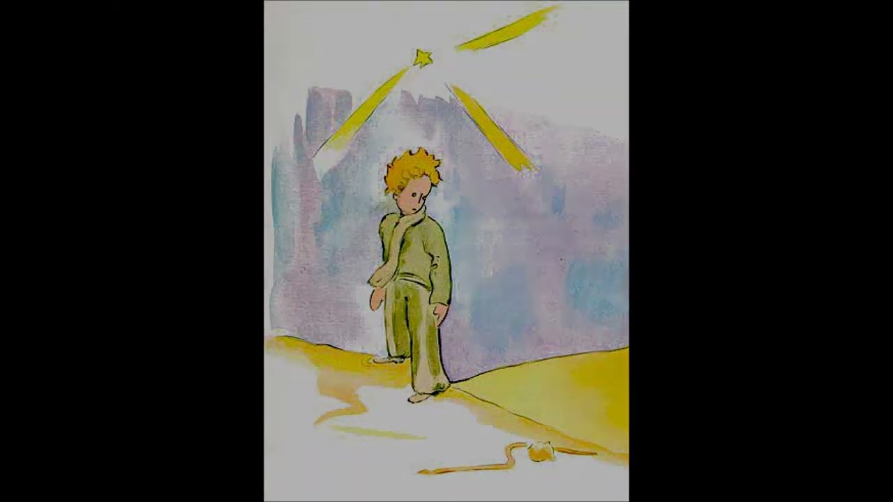 [FMV] JUNIEL(주니엘) - 星の王子様 (The Little Prince) (어린 왕자)
