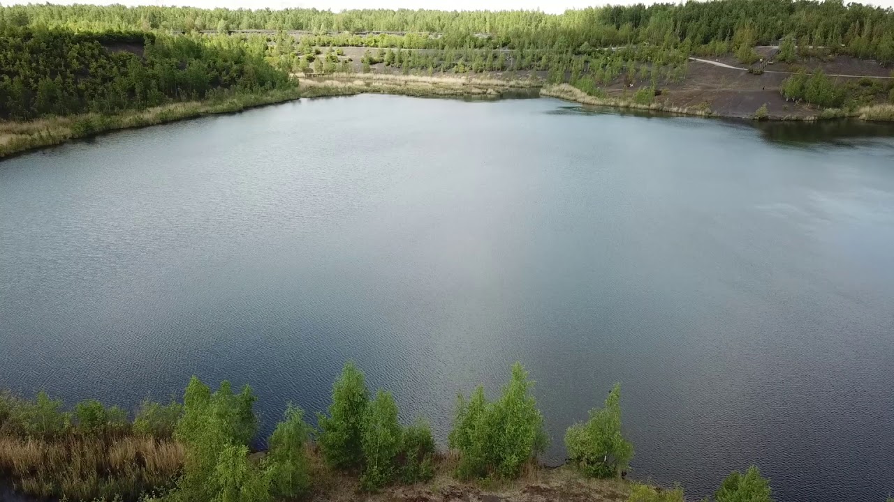 Etang des Argales, Rieulay