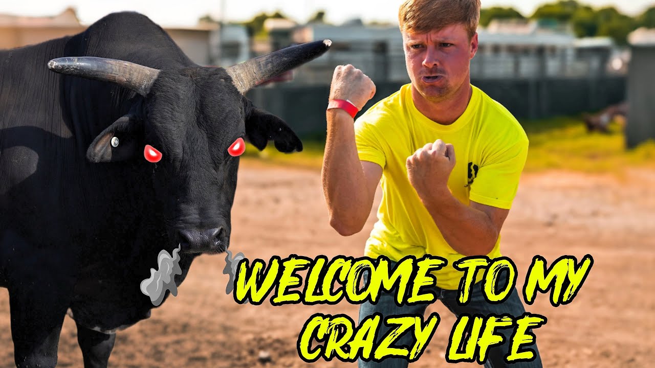 Amish Daddy Takes On Rodeo | My First Upload