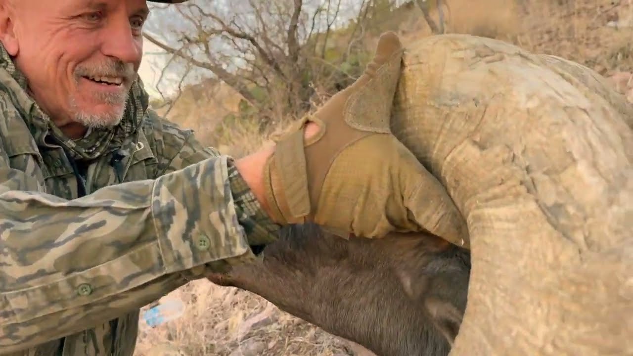Arizona Desert Bighorn Hunt featuring BOB FORD