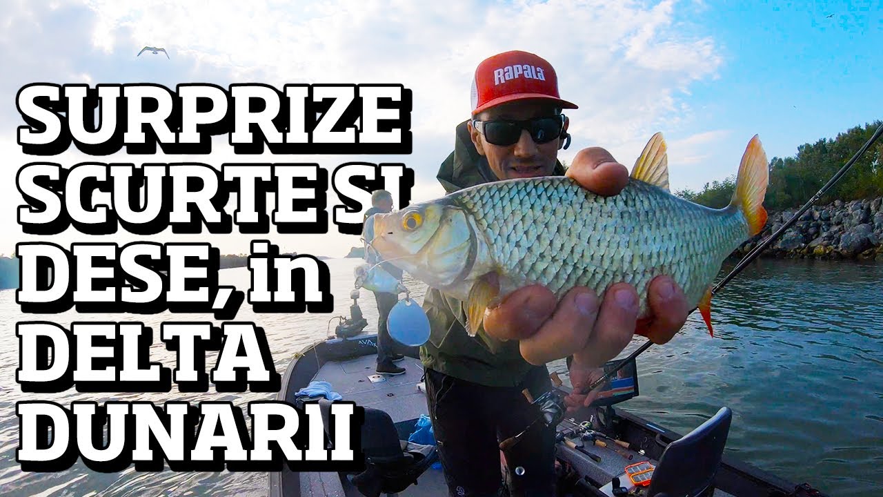 Pescuit cu surprize in Delta Dunarii cu tata. Ziua rosioara, seara avat... 4K