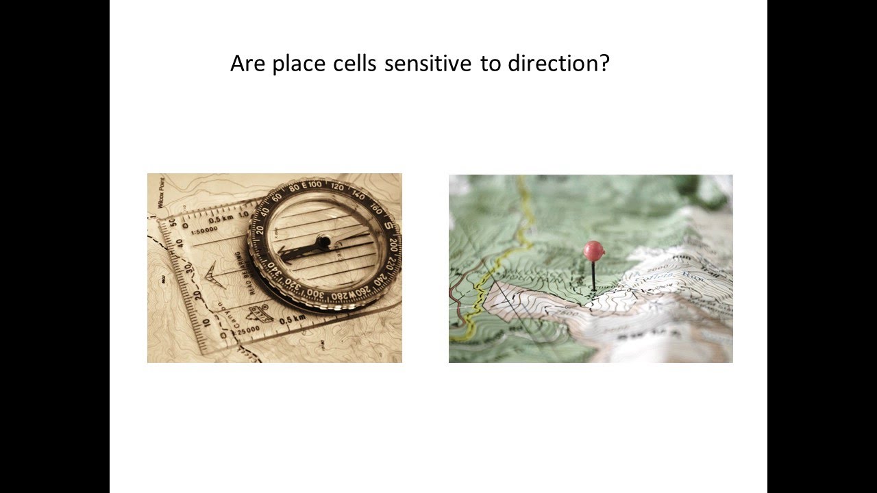 5. Are place cells sensitive to direction?