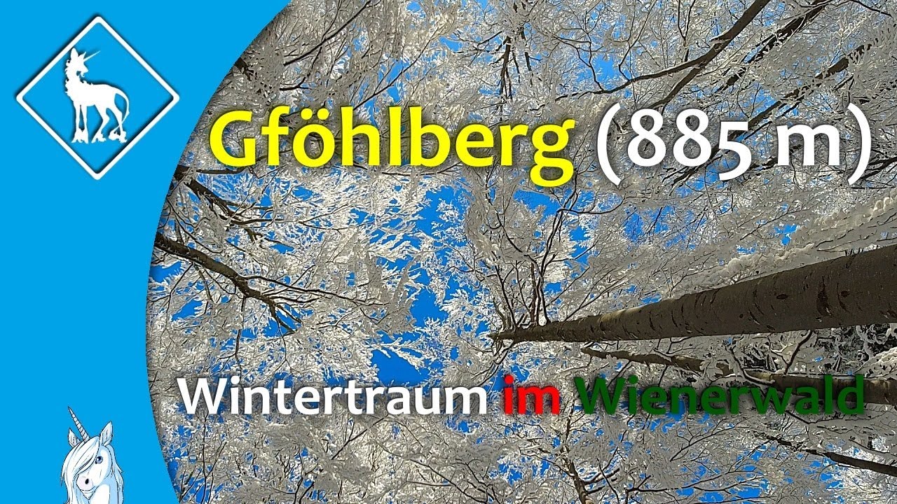 Gföhlberg im Winter von der Klammhöhe aus - Wintertraum im Wienerwald - Wandern in Niederösterreich