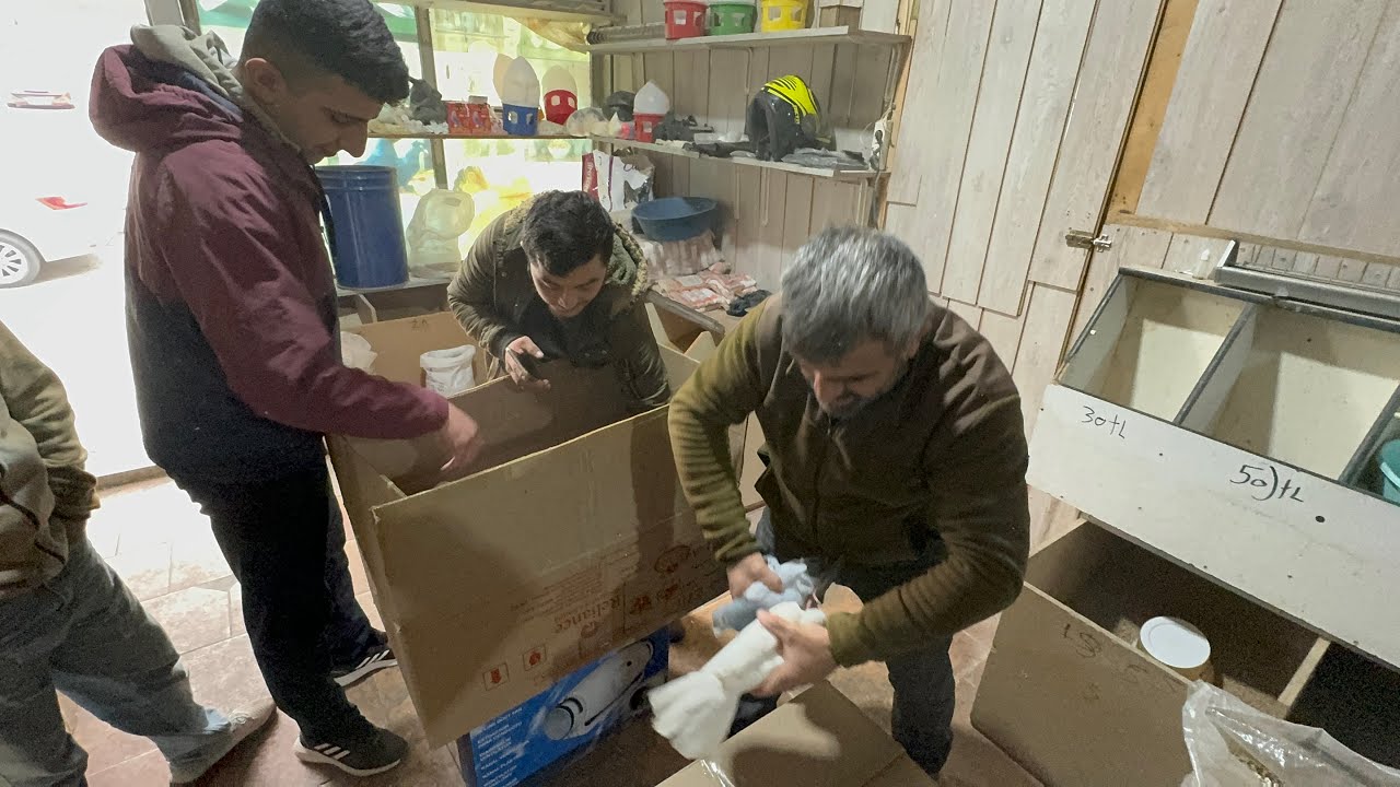KİLO İLE POSTA GÜVERCİNLERİ ALDIM   TAM 13 KG