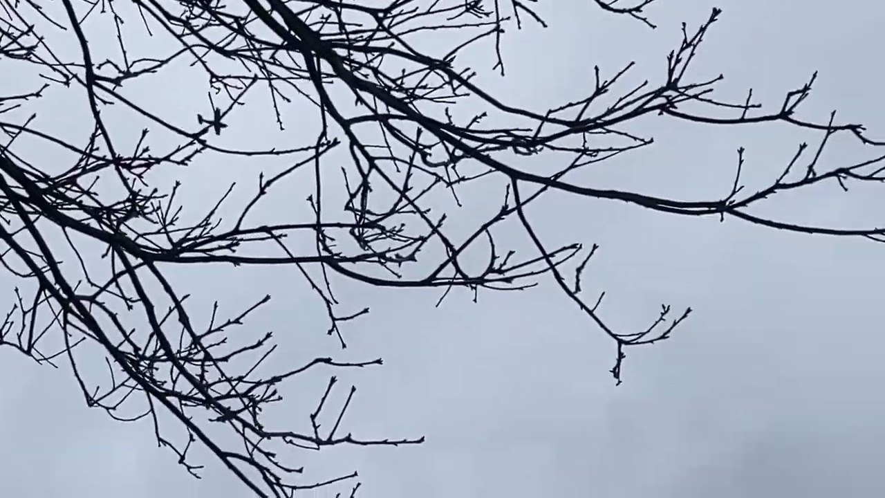 Saturday Plane Spotting at Home! (GA Aircrafts Only)