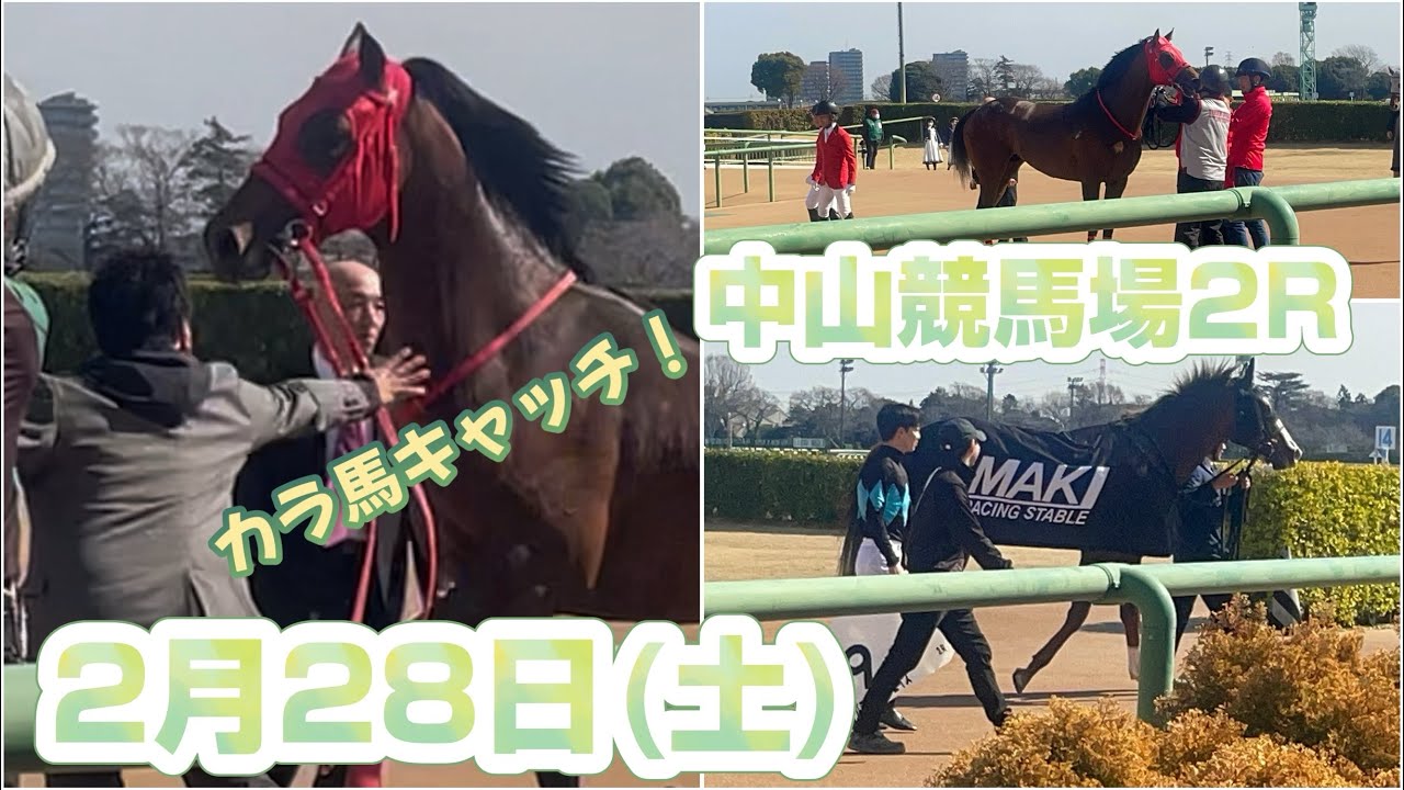 2/28（土）中山競馬場2Rレースを終えたお馬達が戻ってくるところ。