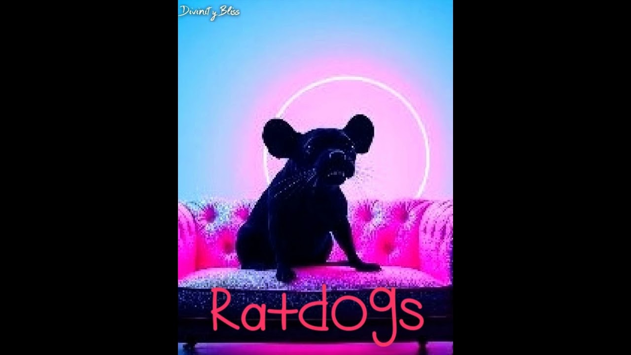 Ratdogs don't take offence by Divinity Bliss 