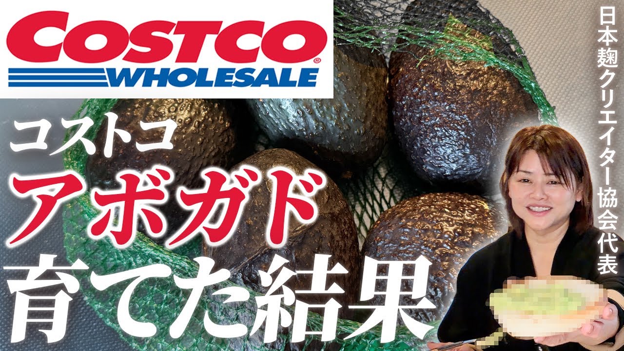 【コストコ】朝ごはん革命！アボカド１つで極上トースト