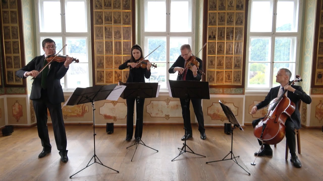 Constanze GEIGER : Herzklopfer, Walzer op. 29 R. Lissy, L. Kusztrich, C. Hammer, R. Flieder