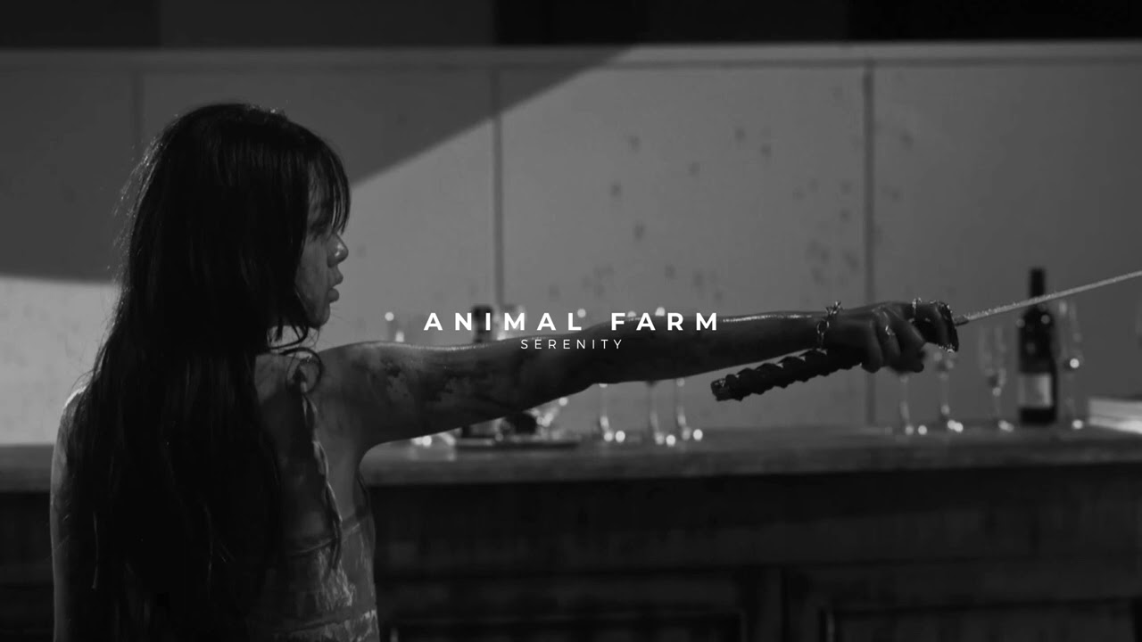bibi - animal farm (slowed & reverb)
