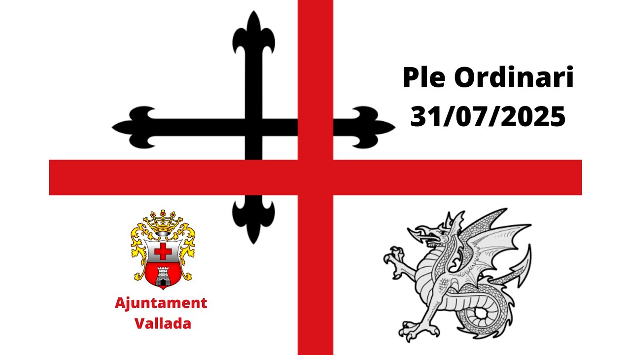 Ple Ordinari 31/07/2025