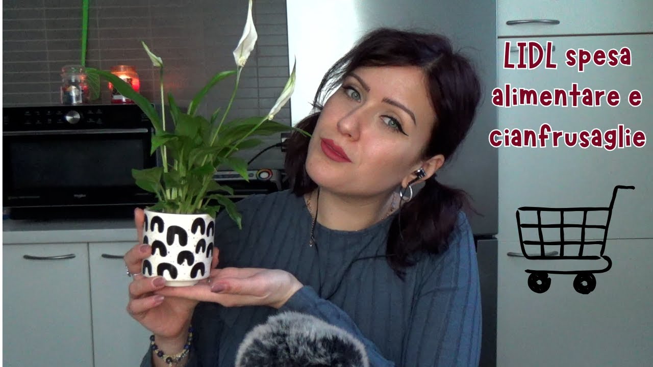 ASMR ITA: Video spesa LIDL -Denny Relax ASMR