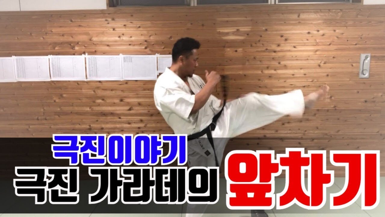 (극진 이야기)앞차기로 거리를 제압해라#6