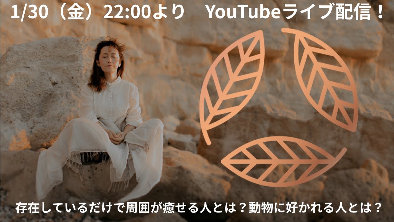 存在しているだけで周囲が癒せる人とは？動物に好かれる人とは？