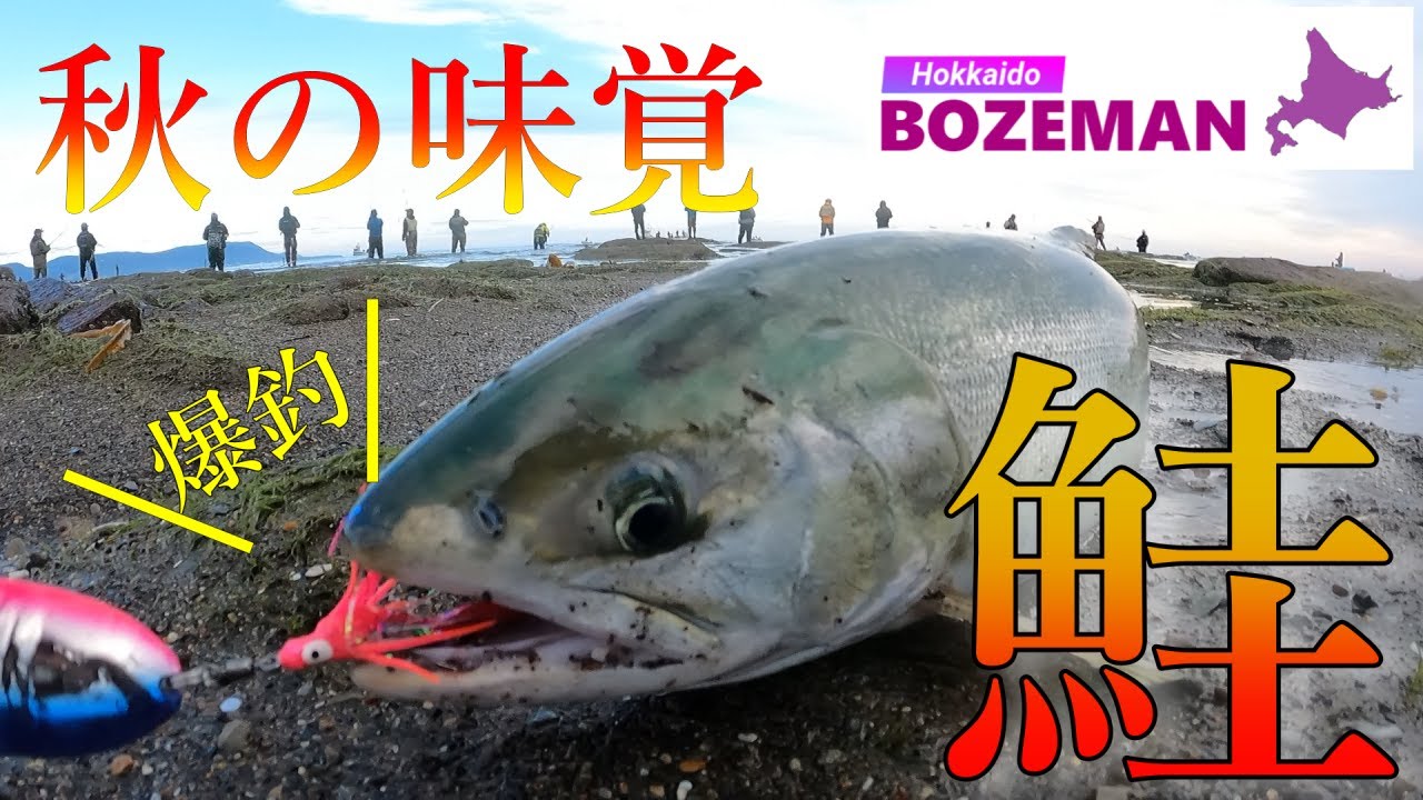 【鮭釣り・アキアジ釣り】秋の味覚をウキルアーで狙う【北海道釣り】