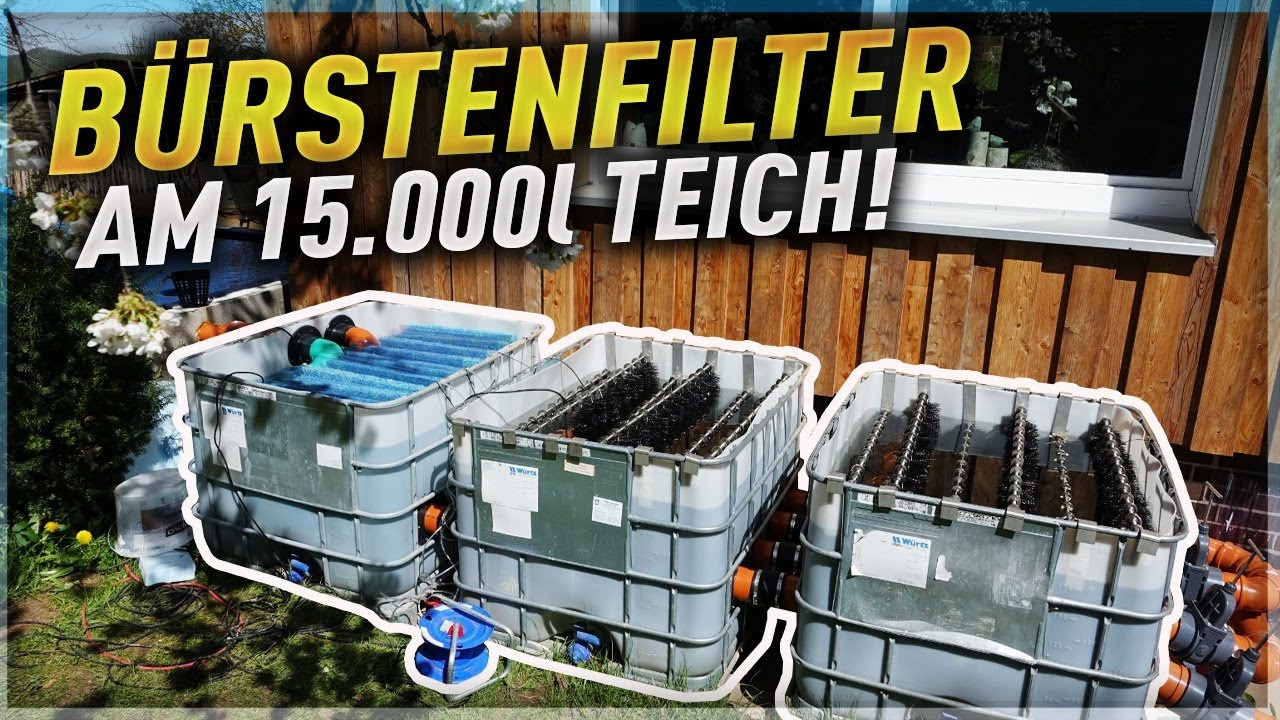 BÜRSTENFILTER im IBC CONTAINER! Ein KOITEICH mit 