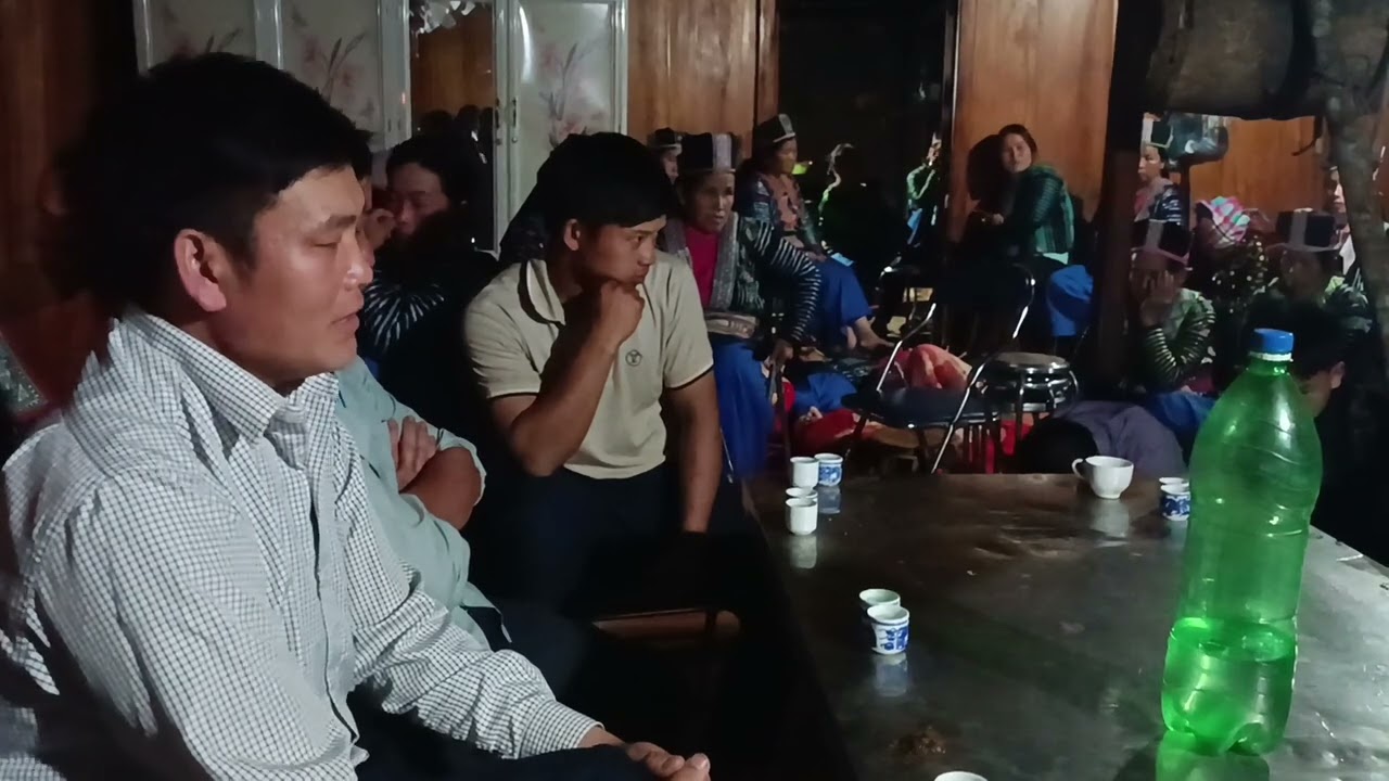 txiv xaiv foom kom 15/4/2024