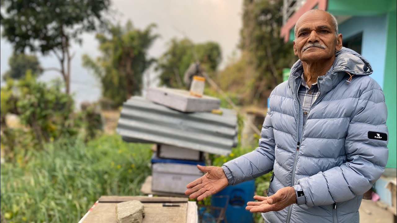 यो तरिकाले बाहिरबाट भागेर आएका मौरीलाई जुनसुकै घारमा आकर्षण गर्न सकिन्छ ! 