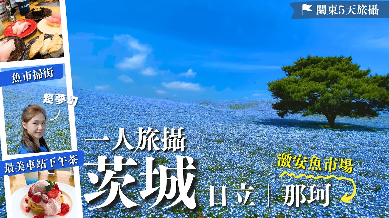 😉關東必到絕景𝑬𝑷𝟑茨城・粉蝶花打卡攻略+詳細交通📸最早到拍到空景？😋那珂凑魚市場超便宜大吃特別！大過手掌即開生蠔😲OMG🦪🍣日本最美海上車站｜日立市-國營常陸海濱公園｜茨城縣｜茨城自由行｜日本自由行