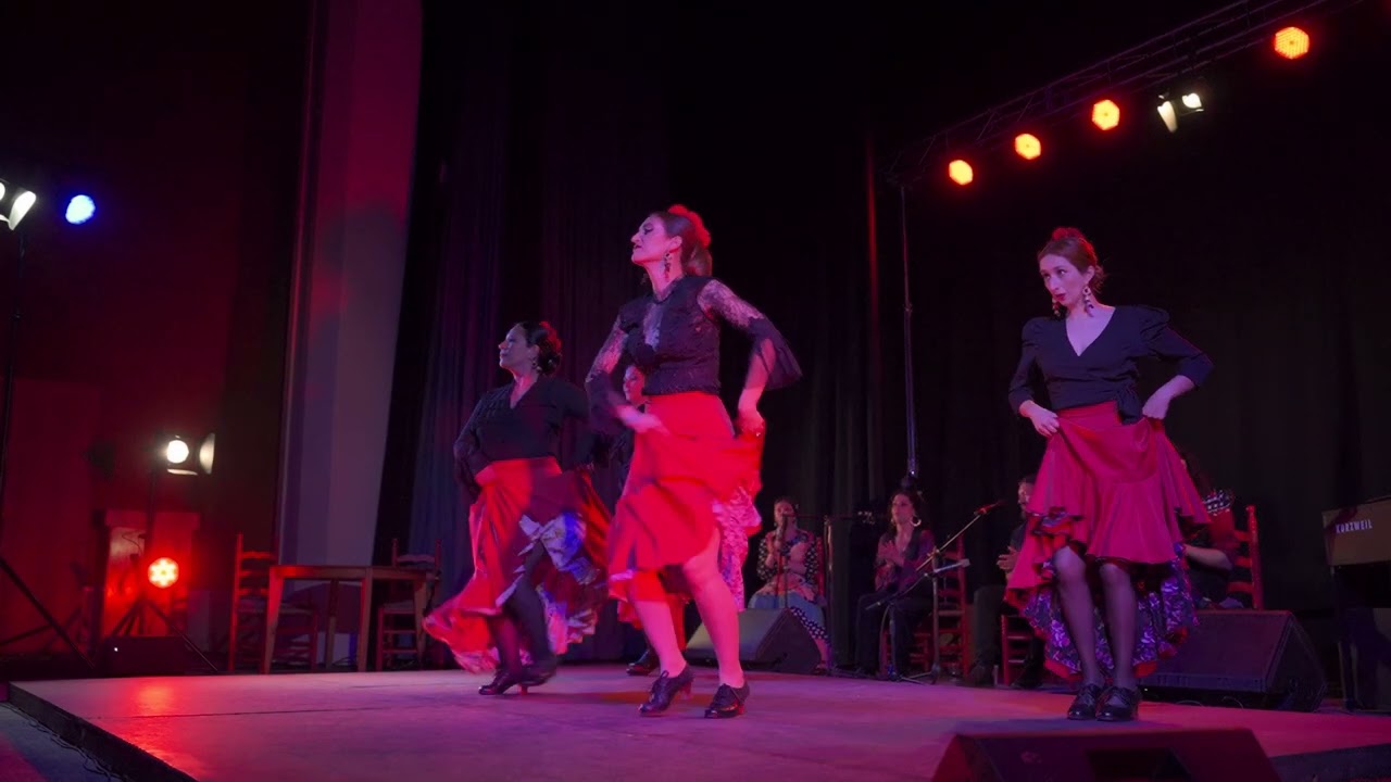 Suena Flamenco