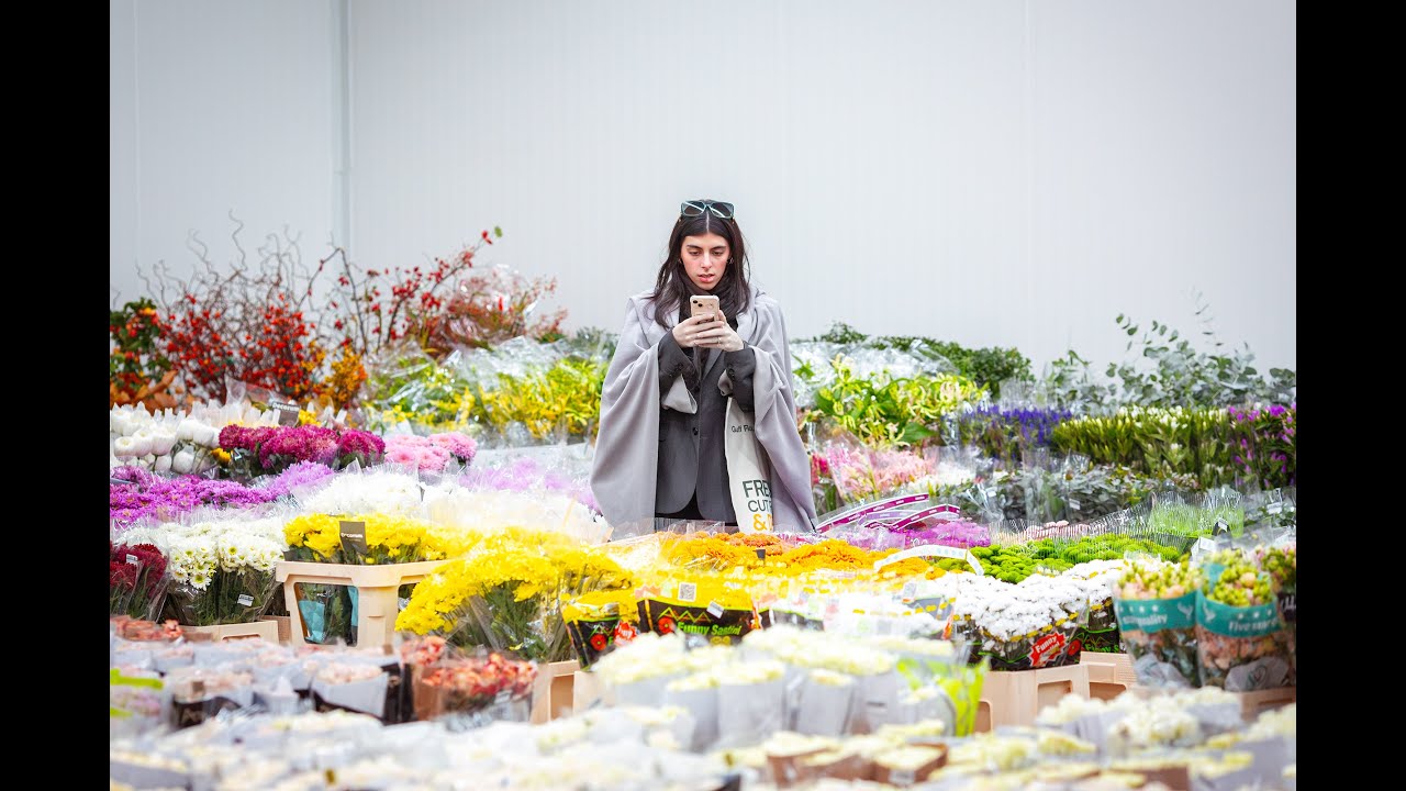 Inside Gulf Flowers: Wholesale Fresh-Cut Flowers & Decor | UAE-Wide Delivery