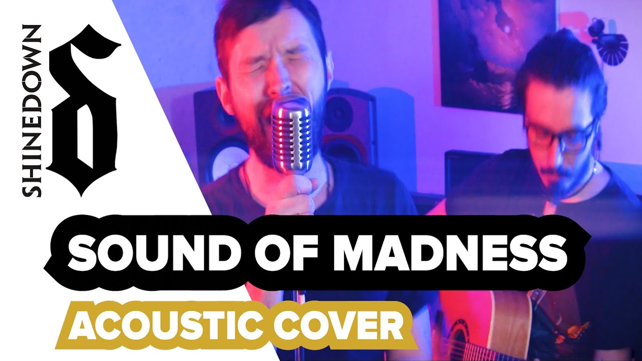 Shinedown - Sound Of Madness (acoustic cover)