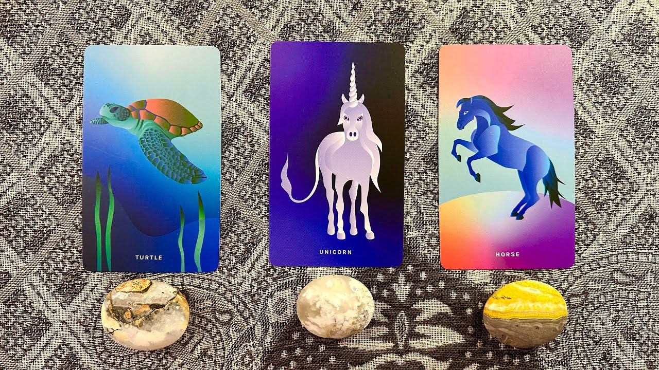 🔮 The HONEST truth 🔮 HOW THEY REALLY FEEL ABOUT YOU & THE CONNECTION ✨🦄🐢🐴✨ Pick a card reading